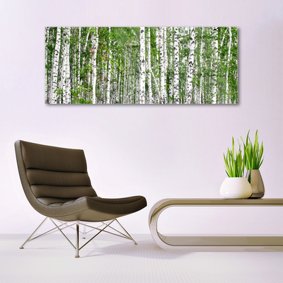Glasbilder Birken Wald Bäume Natur