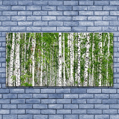 Glasbilder Birken Wald Bäume Natur