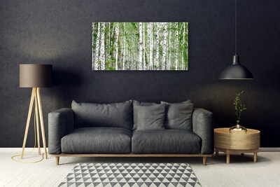 Glasbilder Birken Wald Bäume Natur