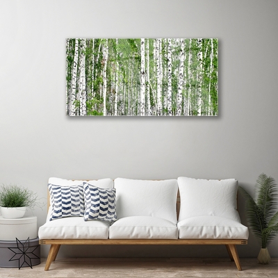 Glasbilder Birken Wald Bäume Natur