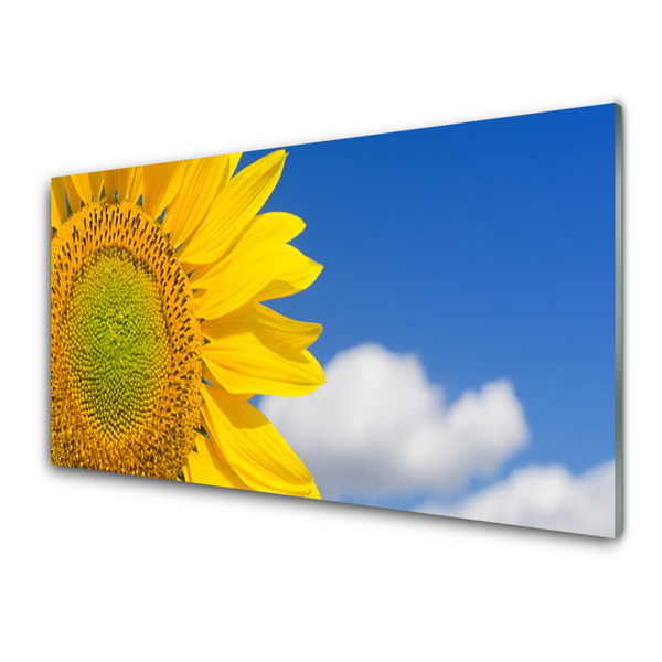 Glasbilder Sonnenblume Wolken Pflanzen