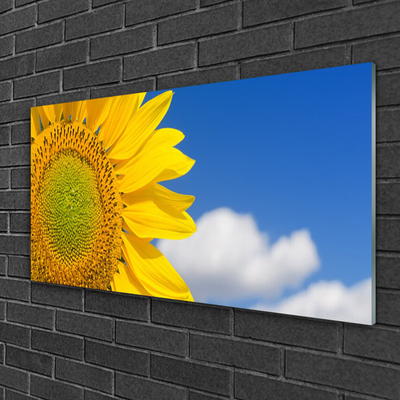 Glasbilder Sonnenblume Wolken Pflanzen