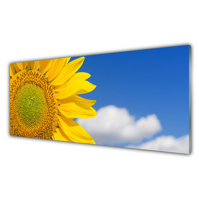 Glasbilder Sonnenblume Wolken Pflanzen