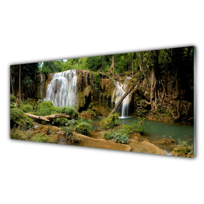 Glasbilder Wasserfall Fluss Wald Natur