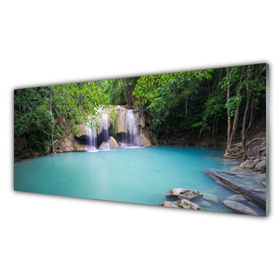 Glasbilder Wasserfall Waldsee Natur