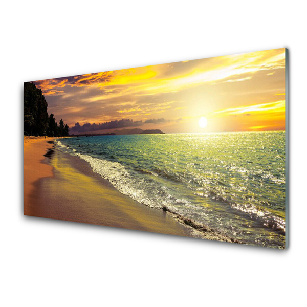 Glasbilder Sonne Strand Meer Baum Landschaft