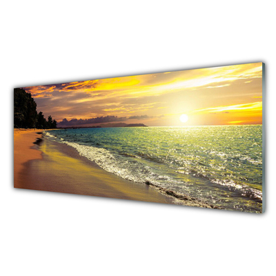 Glasbilder Sonne Strand Meer Baum Landschaft