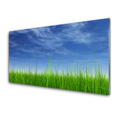 Glasbilder Himmel Gras Natur