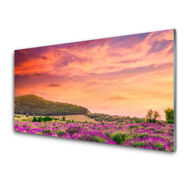 Glasbilder Wiese Blumen Landschaft