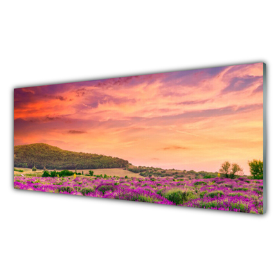 Glasbilder Wiese Blumen Landschaft