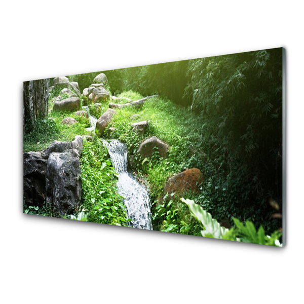 Glasbilder Bach Gras Steine Natur