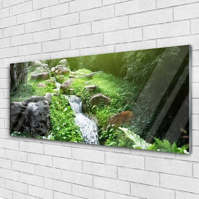 Glasbilder Bach Gras Steine Natur