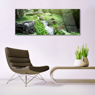 Glasbilder Bach Gras Steine Natur