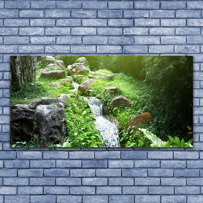 Glasbilder Bach Gras Steine Natur