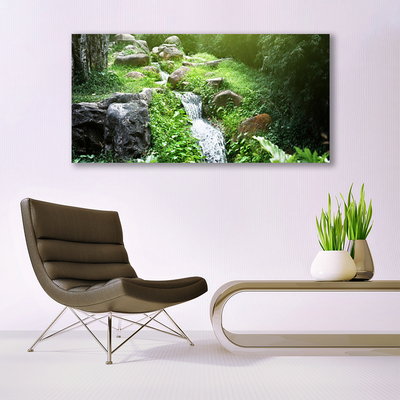 Glasbilder Bach Gras Steine Natur