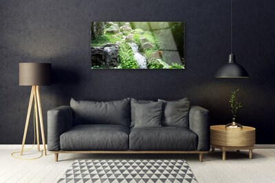 Glasbilder Bach Gras Steine Natur