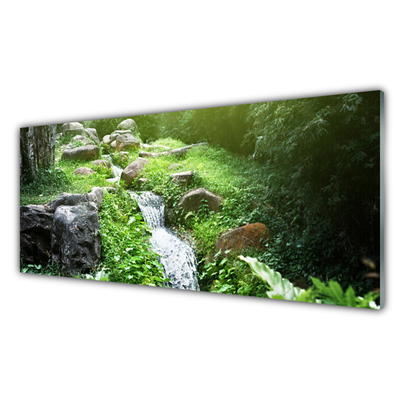 Glasbilder Bach Gras Steine Natur