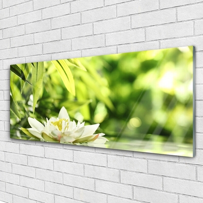 Glasbilder Blume Blätter Pflanzen