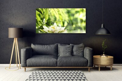 Glasbilder Blume Blätter Pflanzen