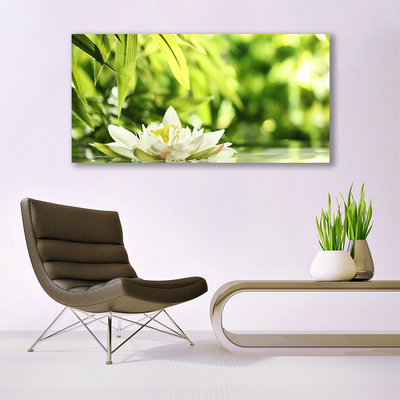 Glasbilder Blume Blätter Pflanzen