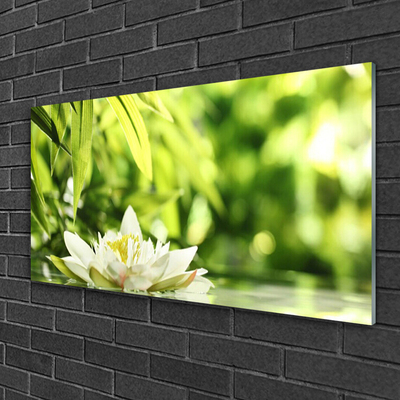 Glasbilder Blume Blätter Pflanzen