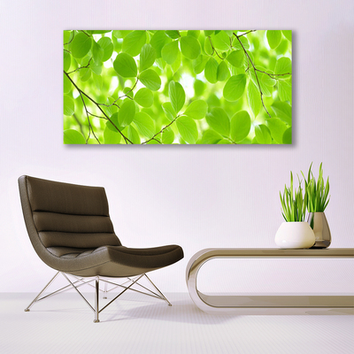 Glasbilder Blätter Natur