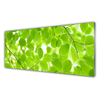 Glasbilder Blätter Natur