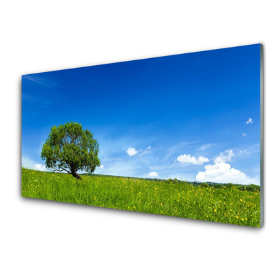 Glasbilder Gras Baum Natur