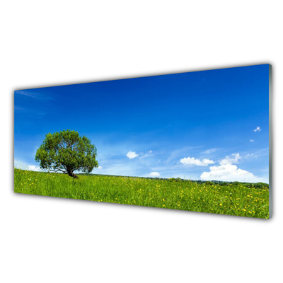 Glasbilder Gras Baum Natur