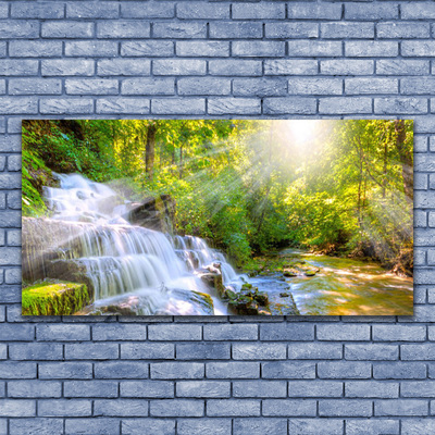 Glasbilder Wasserfall Wald Natur