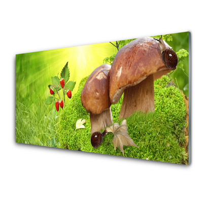 Glasbilder Pilze Gras Walderdbeeren Natur