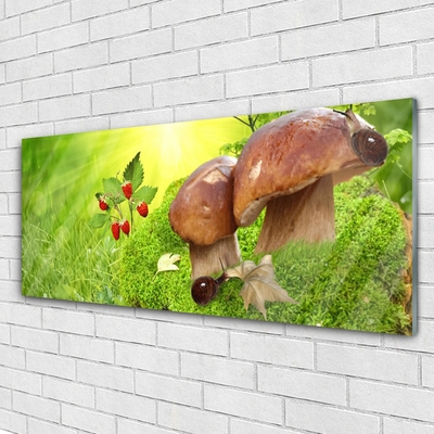 Glasbilder Pilze Gras Walderdbeeren Natur