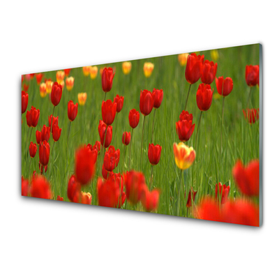 Glasbilder Tulpen Natur