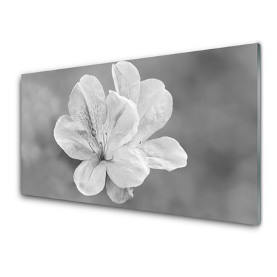 Glasbilder Blumen Pflanzen