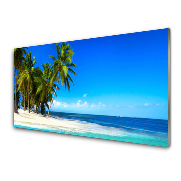 Glasbilder Palmen Strand Meer Landschaft