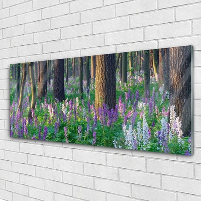 Glasbilder Wald Blumen Natur