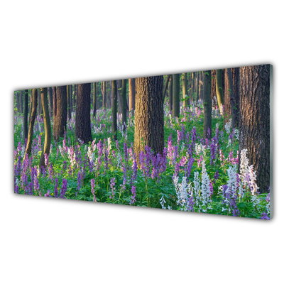 Glasbilder Wald Blumen Natur