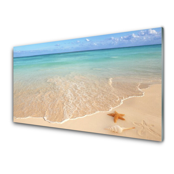 Glasbilder Meer Strand Seestern Landschaft