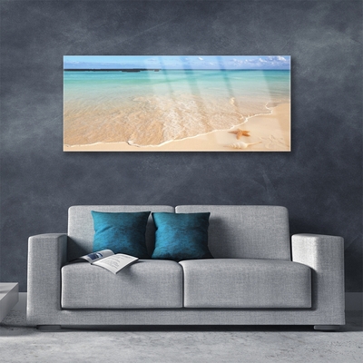 Glasbilder Meer Strand Seestern Landschaft