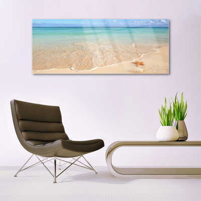 Glasbilder Meer Strand Seestern Landschaft