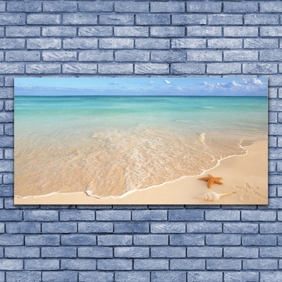 Glasbilder Meer Strand Seestern Landschaft