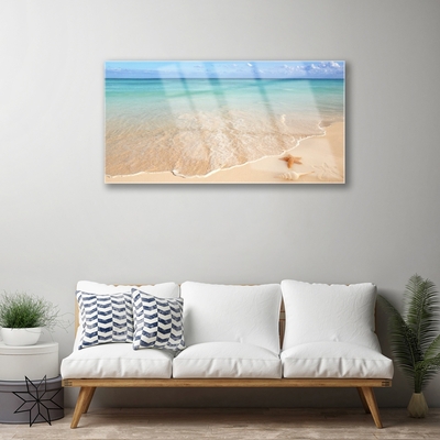 Glasbilder Meer Strand Seestern Landschaft