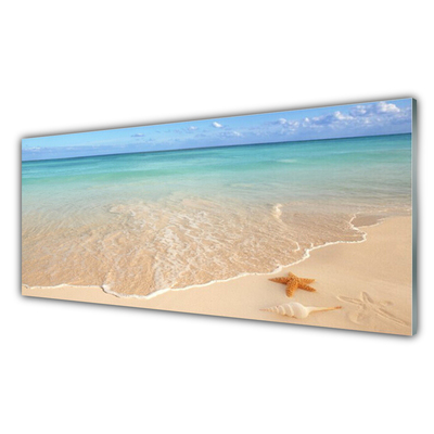 Glasbilder Meer Strand Seestern Landschaft