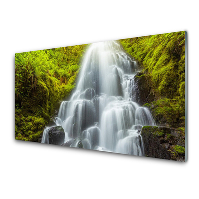 Glasbilder Wasserfall Natur