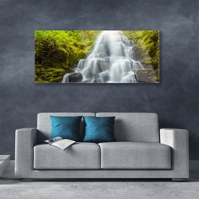 Glasbilder Wasserfall Natur