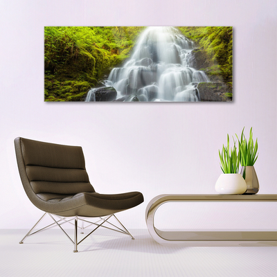 Glasbilder Wasserfall Natur