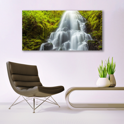 Glasbilder Wasserfall Natur