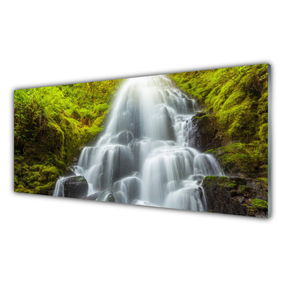 Glasbilder Wasserfall Natur