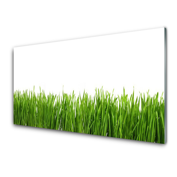 Glasbilder Gras Natur