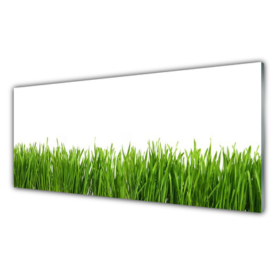 Glasbilder Gras Natur